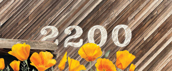 2200 Studios Sausalito Recording Studio